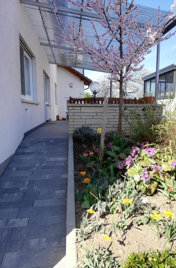 Ferienhaus Rauwolf Mit 2 Ferienwohnungen Roschbach Zewnętrze zdjęcie
